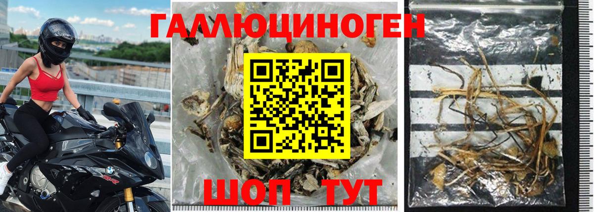 наркошоп  Псилоцибиновые грибы GOLDEN TEACHER  Вход с VPN  Каменск-Уральский  Псилоцибиновые грибы мухоморы 